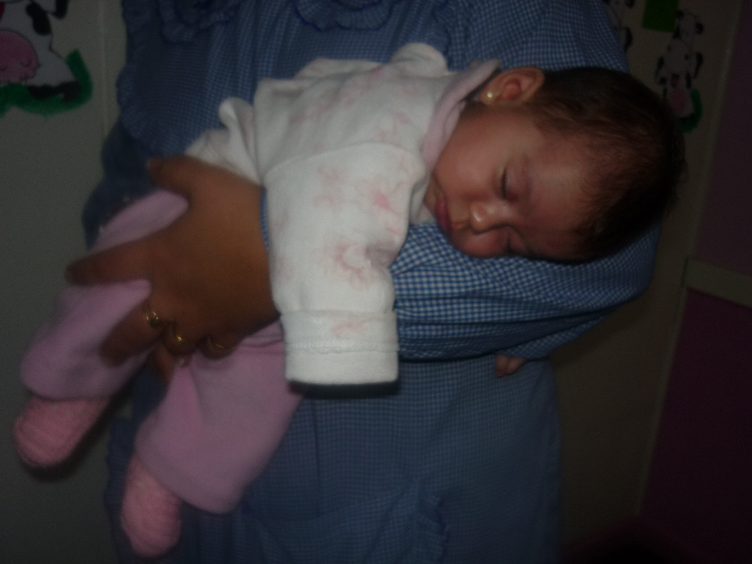 fotos/2011-06-09 - Cumple Iara/P1020052.JPG